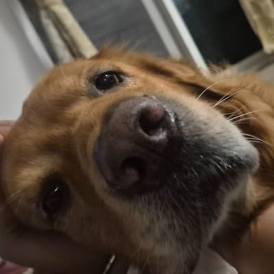 testing